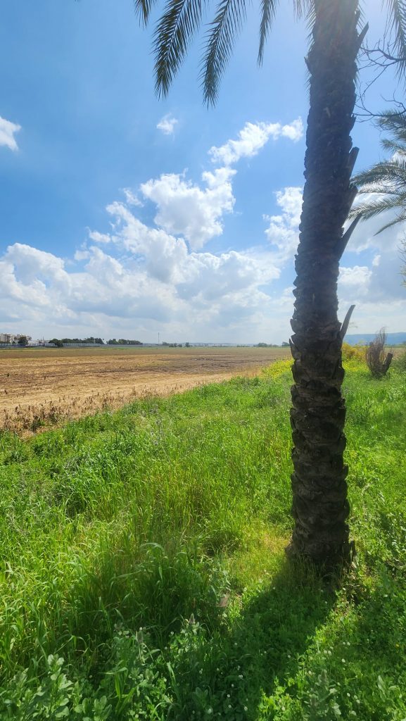 קרקע פרויקט קדמת ביאליק